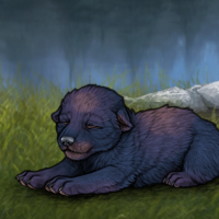 New Runt Puppy Headshot