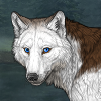 Wolf Headshot