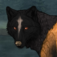 Wolf Headshot