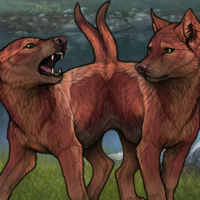~Gerri and Freki~ Headshot