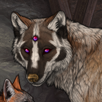 Wolf Headshot