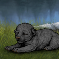 New Largest Puppy Headshot