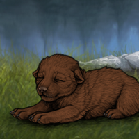 New Largest Puppy Headshot