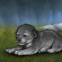 New Runt Puppy Headshot