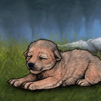 Born w DU and MALE? Headshot