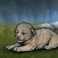New Largest Puppy Headshot