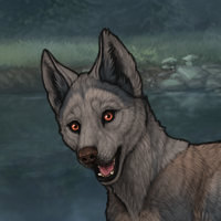 New Puppy 5 Headshot